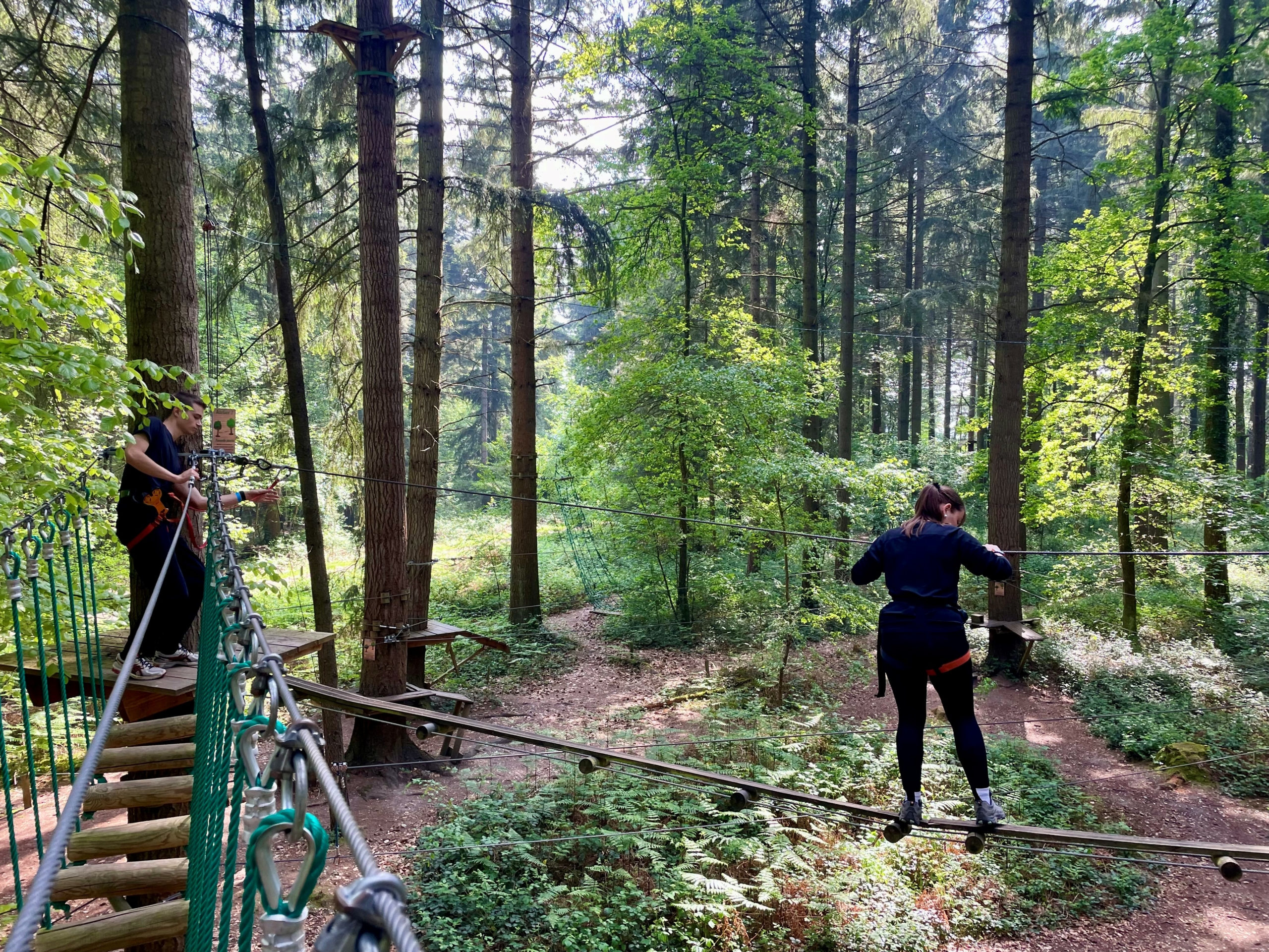 Accroforest – Brosville