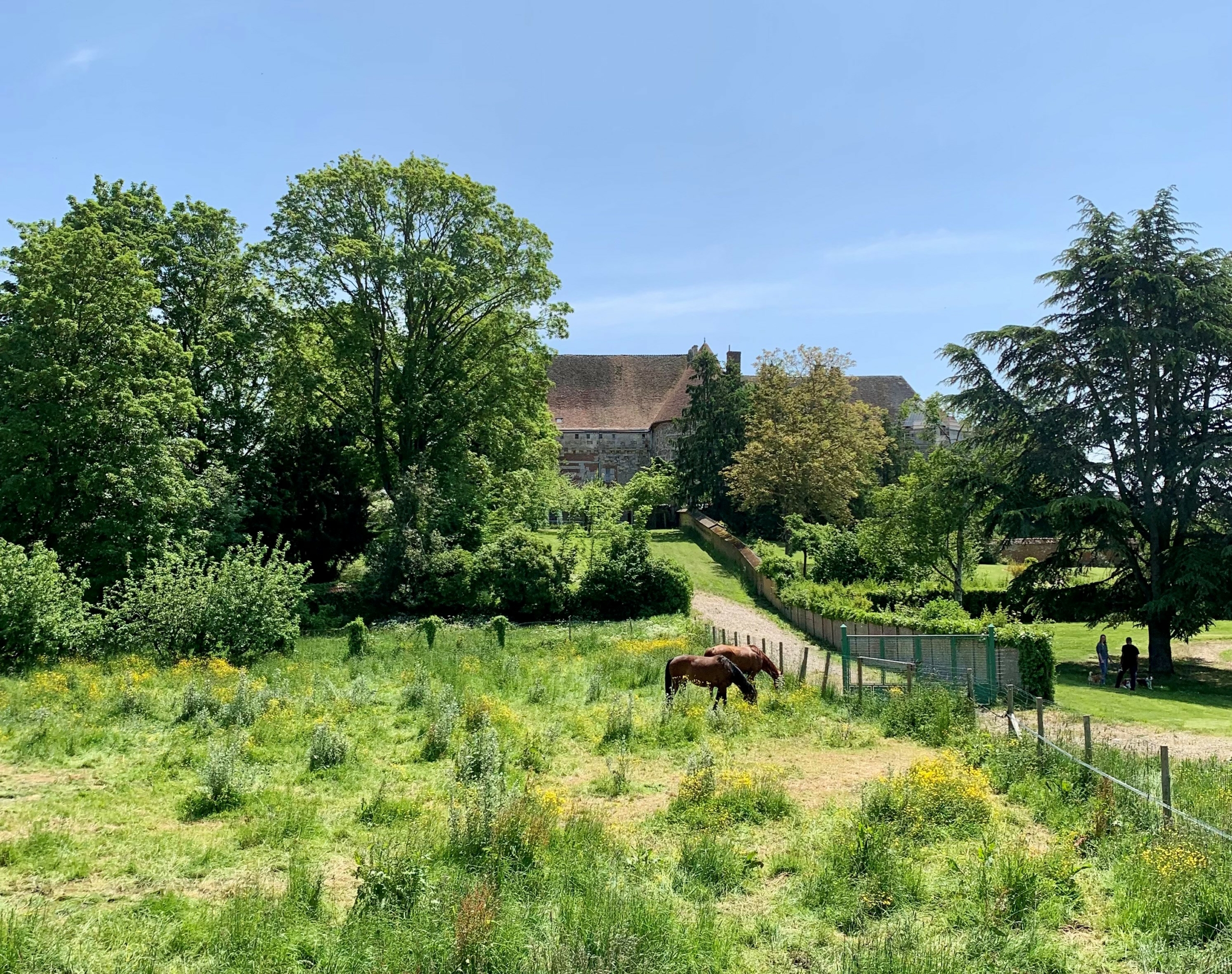 Vieux-château – Le Neubourg